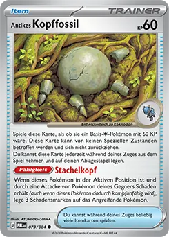 Antikes Kopffossil