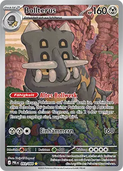 Bollterus